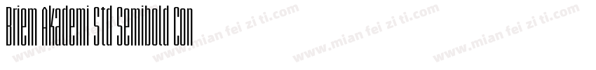 Briem Akademi Std Semibold Cond字体转换